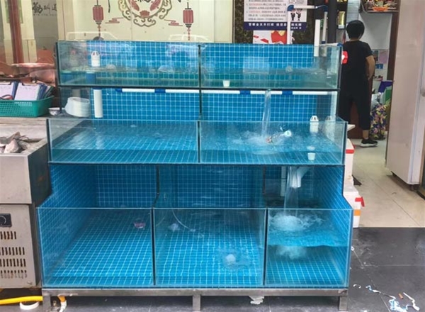 东莞海鲜冷水机