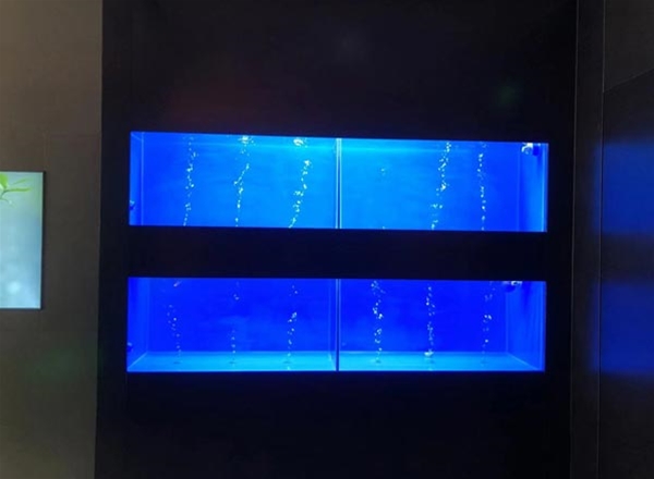 东莞海鲜冷水机
